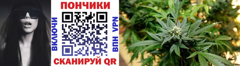 Бошки марихуана план Оса